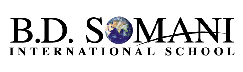 B. D. Somani International School B. D. Somani International School logo